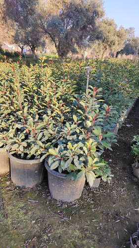 IMG 20230107 WA0026.jpg