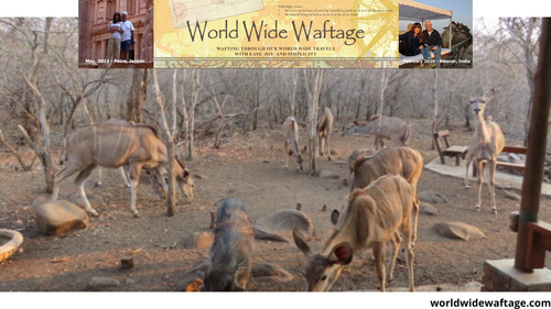 home free retirees world travel tips.png