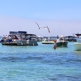 best pontoon rental in destin