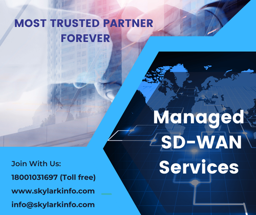 Managed SD WAN Services.png