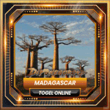 MADAGASCAR.gif