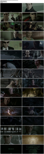 The.Matrix.Revolution.2003.UHD.BluRay.2160p.TrueHD.Atmos.7.1.x265.10bit.HDR BeiTai.mkv.jpg