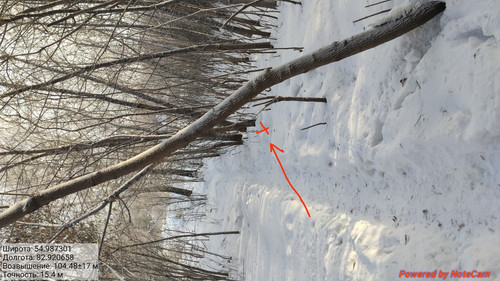 IMG 20230112 122353.jpg