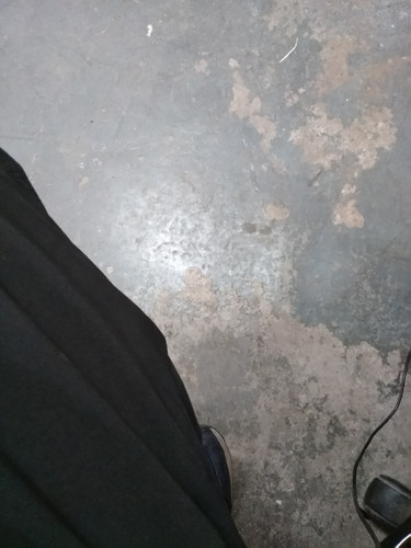 P 20230113 130446[1].jpg