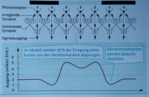 IMG 20230113 160542273~3.jpg