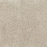 beige cement tile