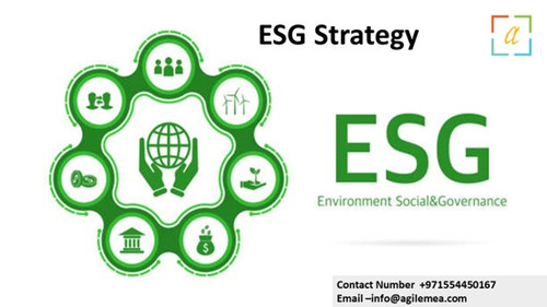 ESG Strategy 11.jpg