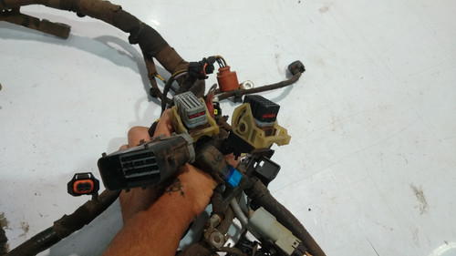 P 20230112 095621[1].jpg