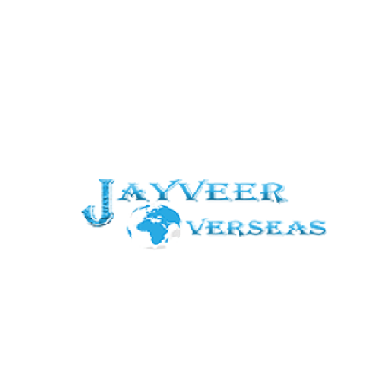 jayveer Steel.png