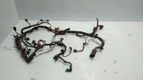 P 20230112 095548[1].jpg
