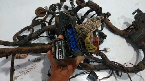 P 20230112 093628[1].jpg