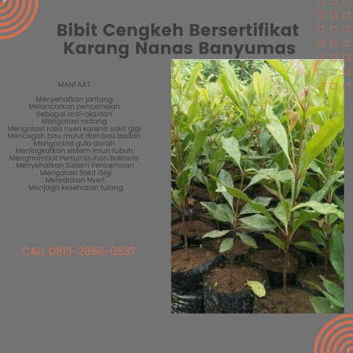 IMG 20230112 081412 720.jpg