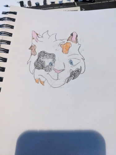 PXL 20230112 124624149.MP.jpg