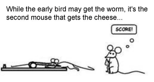 First Bird vs Second Mouse.png