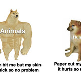 Animals vs Humans
