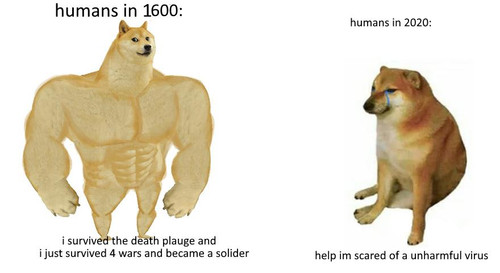 Humans Then and Now.jpg