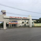 1781 CÔNG TY MAY HÒA THỌ ĐÔNG HÀ