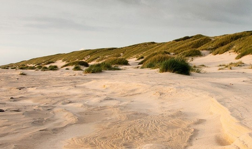 2022 11 18 09 57 27 .png