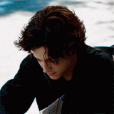 timothee chalamet.gif