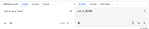 2023 01 15 21 15 50 Google Translate.png