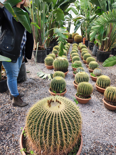 IMG ٢٠٢٣٠١٠٩ ١٢٥٩٣٨.jpg