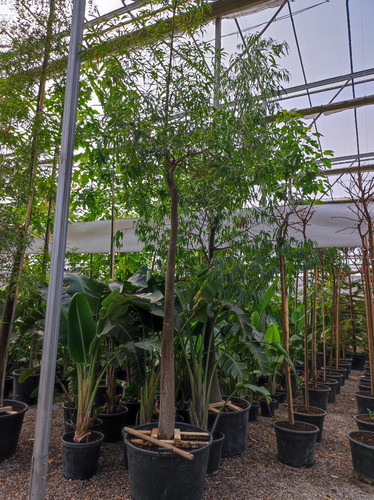 IMG ٢٠٢٣٠١٠٩ ١٣٠٦٣٣.jpg