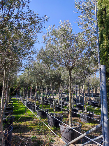 IMG ٢٠٢٣٠١٠٩ ١٣٢٠٤٧.jpg