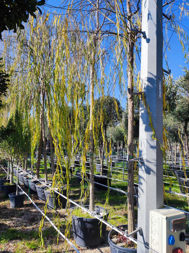 IMG ٢٠٢٣٠١٠٩ ١٣١٩٥٨.jpg