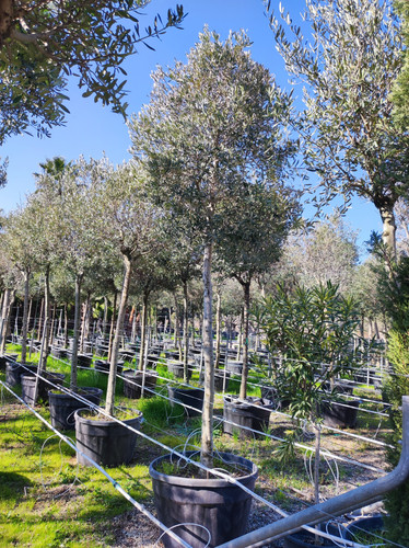 IMG ٢٠٢٣٠١٠٩ ١٣٢٠١١.jpg