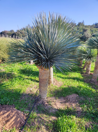 IMG ٢٠٢٣٠١٠٩ ١٣٣٢٢٨.jpg