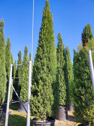 IMG ٢٠٢٣٠١٠٩ ١٣١٩١٨.jpg