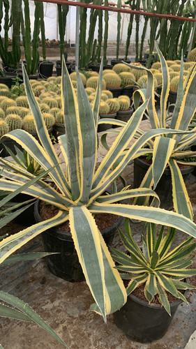 9E64D490 4918 48CB 9BF1 5697482F3308.jpg