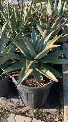 4E11BF85 213F 4436 AD5E AE06E1E271D9.jpg