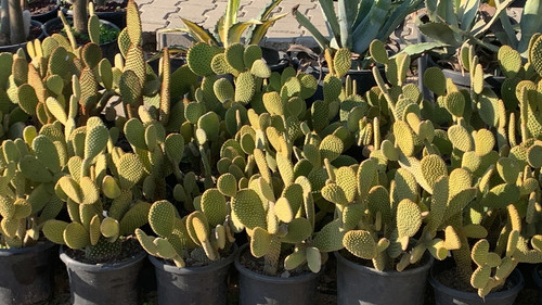 2303BB44 9E01 49F8 80EF 20701D1B94B1.jpg