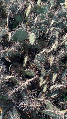 5E3879A8 07DE 4DA1 971E 30A44F8846F6.jpg