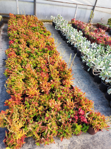 IMG ٢٠٢٣٠١٠٩ ١٣٥٠٥٧.jpg