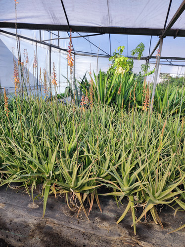 IMG ٢٠٢٣٠١٠٩ ١٤٠١٠٢.jpg