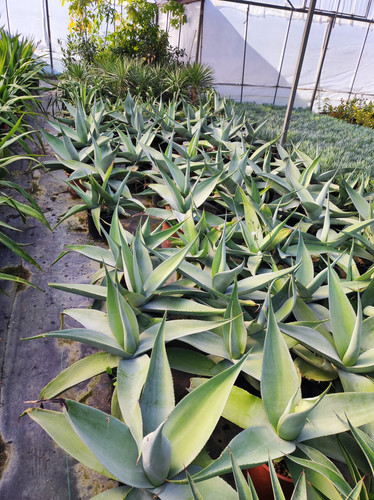 IMG ٢٠٢٣٠١٠٩ ١٤٠٠٠٢.jpg