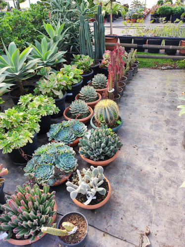 IMG ٢٠٢٣٠١٠٩ ١٣٤٧٥٦.jpg