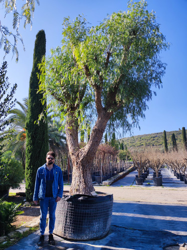 IMG ٢٠٢٣٠١٠٩ ١٢٢٣٠٧.jpg