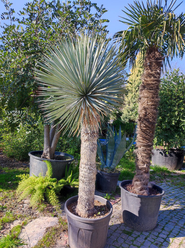 IMG ٢٠٢٣٠١٠٩ ١٢١٨٤١.jpg