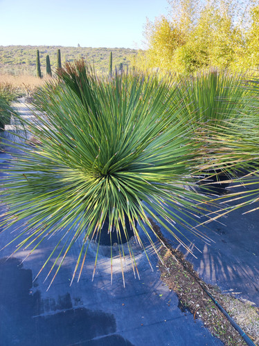 IMG ٢٠٢٣٠١٠٩ ١٢٢٢٠٣.jpg