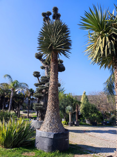 IMG ٢٠٢٣٠١٠٩ ١٢١٨٢٠.jpg