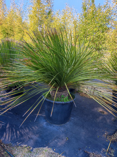 IMG ٢٠٢٣٠١٠٩ ١٢٢٢٠٤.jpg