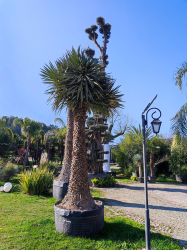 IMG ٢٠٢٣٠١٠٩ ١٢١٨١٠.jpg