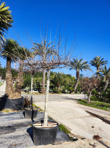 IMG ٢٠٢٣٠١٠٩ ١٢٤٣٣٣.jpg