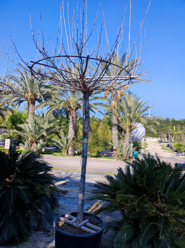 IMG ٢٠٢٣٠١٠٩ ١٢٤٣٤٤.jpg