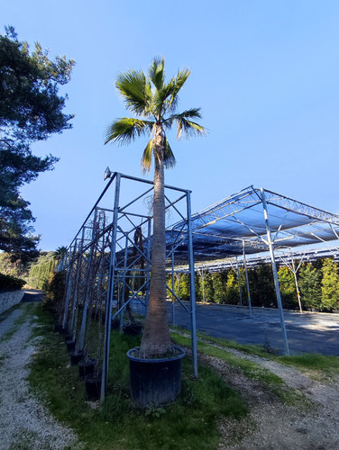 IMG ٢٠٢٣٠١٠٩ ١٢٣٩١٦.jpg