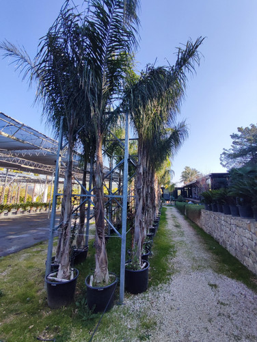 IMG ٢٠٢٣٠١٠٩ ١٢٣٩٤٧.jpg