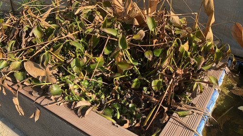 7314CAA4 4C94 44A9 A2DD 954668367D87.jpg